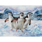 (image for) Penguins